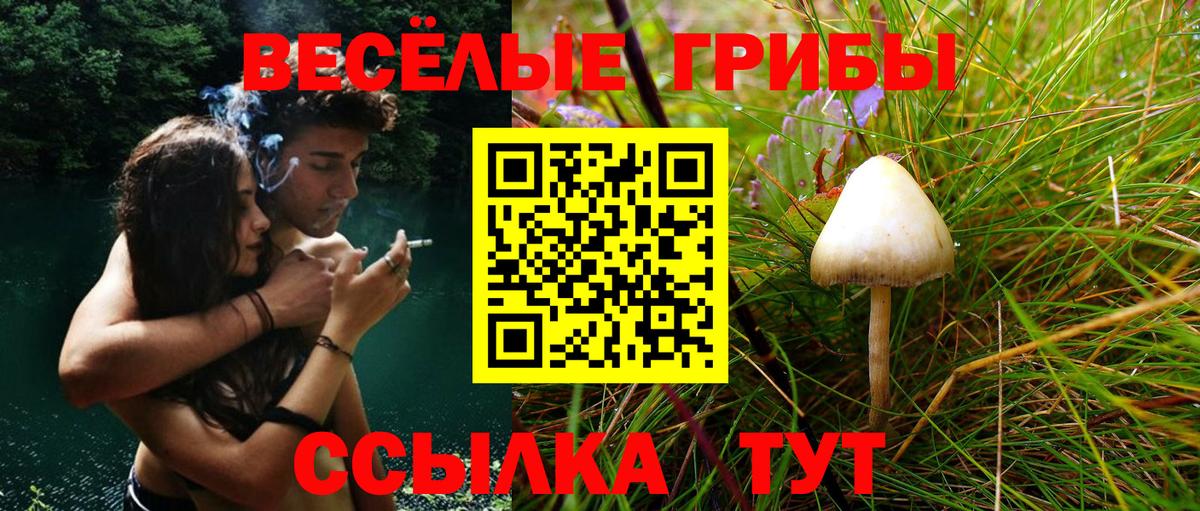 Галлюциногенные грибы Cubensis  как найти наркотики  Вход с VPN  Рязань  Галлюциногенные грибы GOLDEN TEACHER 